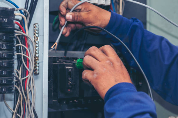 Best Electrical Troubleshooting Services  in St Bonifacius, MN