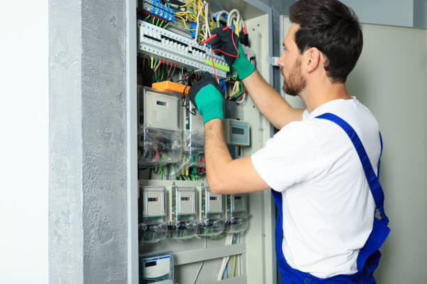Best Commercial Electrician Services  in St Bonifacius, MN